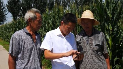 宁晋:加大农业科技推广力度 促粮食稳产保丰收